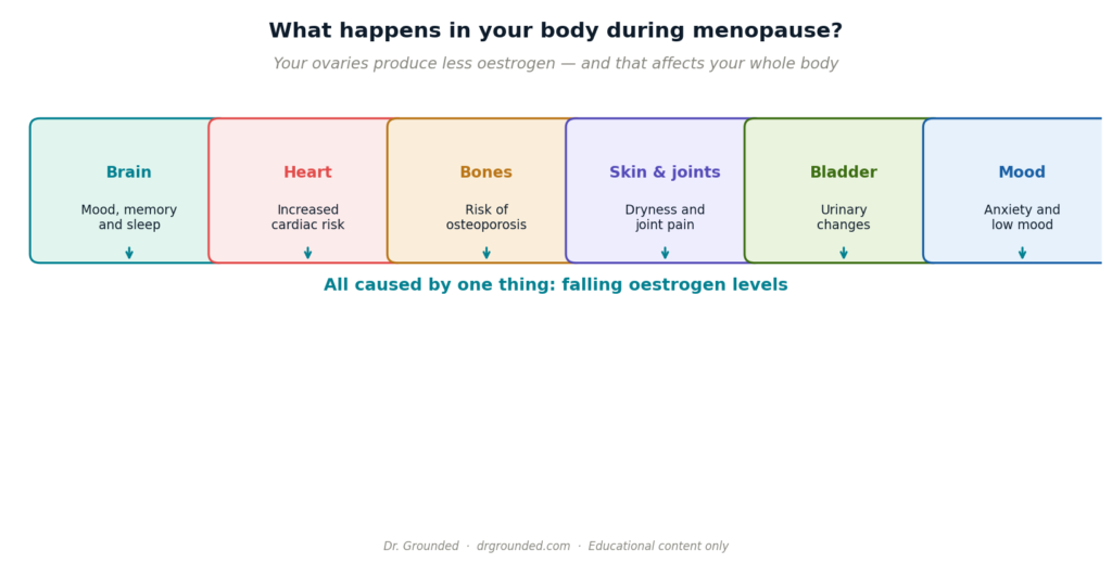 menopause symptoms diagram